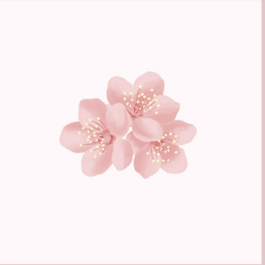 国产黑料绿帽社入口
