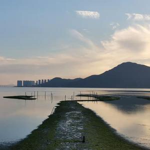 国产黑料绿帽社入口
